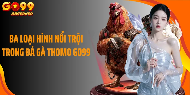Ba loại hình nổi trội trong đá gà Thomo Go99