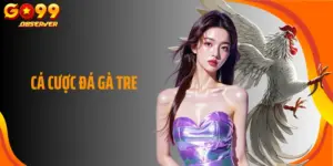 Cá Cược Đá Gà Tre Go99: Trải Nghiệm Sân Chơi Sôi Động