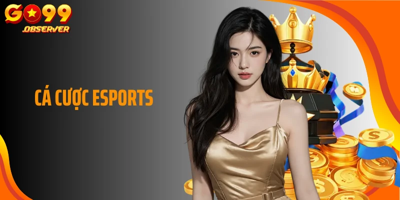 Cá Cược Esports: Sân Chơi Sôi Động Dành Cho Game Thủ