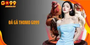 Đá Gà Thomo Go99 - Trải Nghiệm Trường Gà Đỉnh Cao