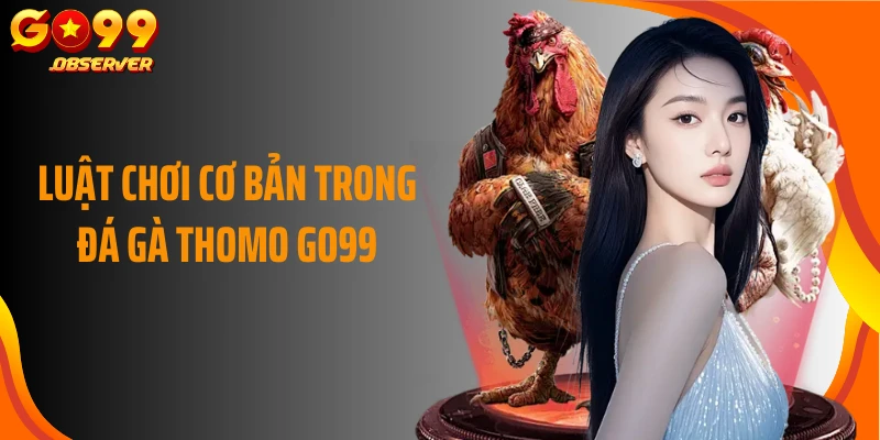 Luật chơi cơ bản trong đá gà Thomo Go99