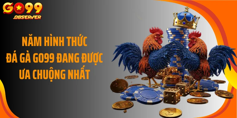 Năm hình thức đá gà Go99 đang được ưa chuộng nhất 