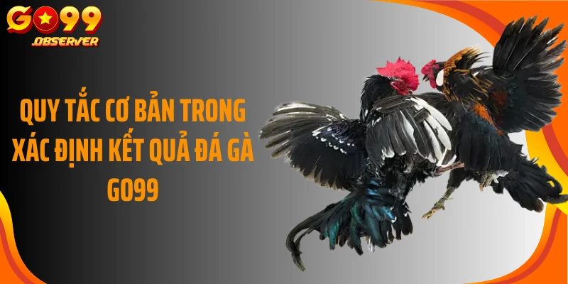 Quy tắc cơ bản trong xác định kết quả đá gà Go99