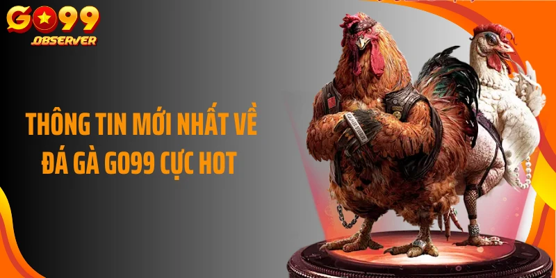 Thông tin mới nhất về đá gà Go99 cực hot 